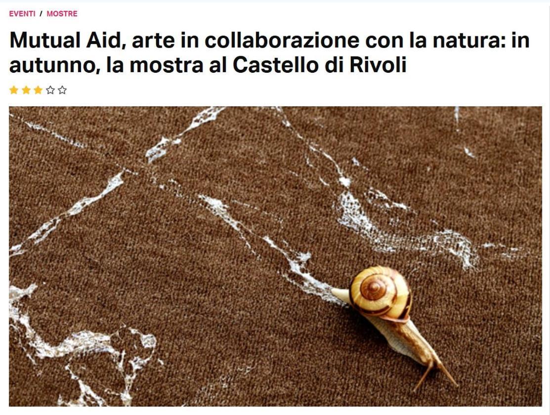 Ferienwohnung La Casa Di Silvio Ai Giardini Reali Turin Exterior foto